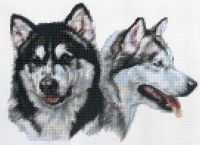 https://ar.tradekey.com/product_view/Alaskan-Malamute-Counted-Cross-Stitch-Kit-327974.html