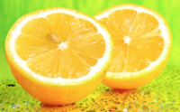 FRESH/FROZEN SEEDLESS/SEED LIME LEMON BEST PRICE