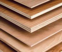 Furniture Plywood