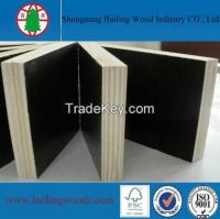 Building Materials film faced plywood