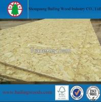 OSB Board for Construction