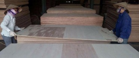 Packing Plywood AB/BB/CC grade Cheap Price