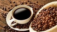 Organic & Curated Coffee