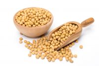 Organic Soybeans