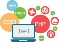 Web Development Services in India