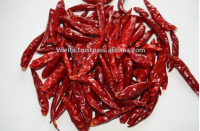 Vietnam Dried Red Chili 