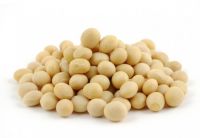 Soyabean Seed