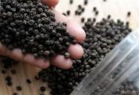 Dried Black Pepper 500gl/ Black Pepper 550gl, Vietnam Pepper, Cardoon Spices And Other Spices