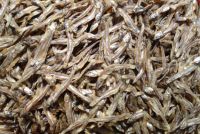 Dried Anchovies