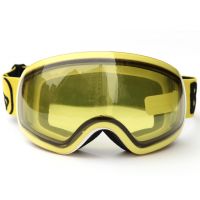 https://fr.tradekey.com/product_view/Latest-Professional-Black-Adult-Ski-Goggles-8639348.html