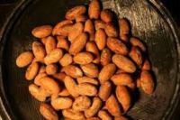Cashew Nuts(Anacardium occidentale), Ogbono(Irvingia gabonensis), Bitter Kola(Garcinia kola)