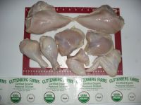 Frozen Chicken For Exportation