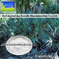 Saw Palmetto Extract