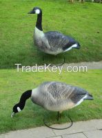 hunting decoy goose plastic