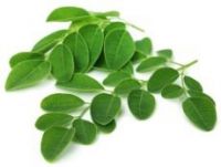 moringa leaves and pods