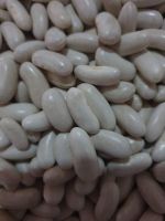 White kidney beans from Madagascar