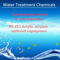 BS-613 Acrylic-acrylate-sulfosalt copolymers