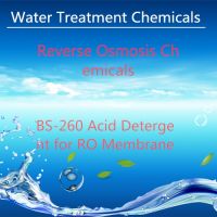 BS-260 Acid Detergent for RO Membrane