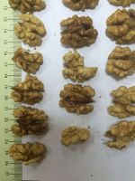 Walnuts kernels