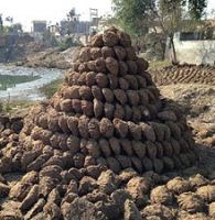 Cow Dung Cake | Desi Dried Cow Dung | Natural Breed Cow Dung