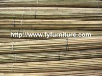 Tea Pole Bamboo, Tsinglee bamboo, Tonkin Bamboo, Bamboo Canes, Bamboo Pole