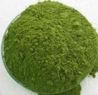 Moringa Seed/ Powder/ Leaves/ Tea