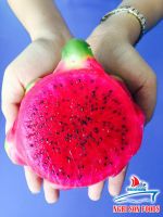 https://www.tradekey.com/product_view/Dragon-Fruit-Purple-Flesh-8930601.html