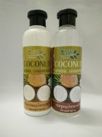 Coconut Hair Care Set - Shampoo, Conditioner, Detox Treatment