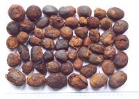 Garcinia Cola, Gallstone