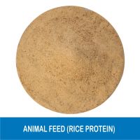 Rice Protein