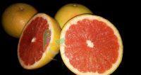 Grapefruit