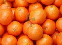 Baladi orange