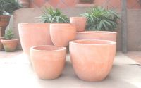 Terracotta Pots