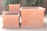 Terracotta Flower Pots