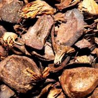 PALM KERNEL SHELL