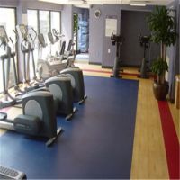 Indoor PVC Sports Flooring Roll Gym Center PVC Sports Floor