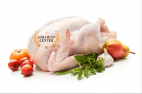 CHICKEN MEAT (whole chicken, fillet, legs, wings)