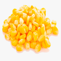 Yellow and White Corn