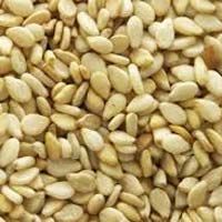 Sesame Seed