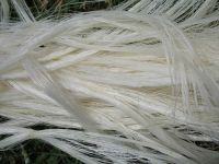 Hot sales 100% Sisal Natural Fiber/ natrual sisal fiber for rope ,sisal twine,sisal fibre