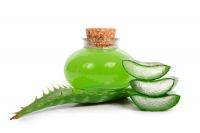 https://ar.tradekey.com/product_view/Aloe-Vera-8661297.html