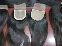 Best Quality Vietnamese Hair Single Weft Clip-in Hair Extensions