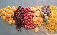 IQF Frozen Fruits and Vegs