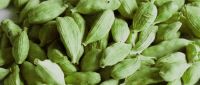 Cardamom Suppliers