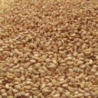 Good grade Natural Sesame seeds for Supply