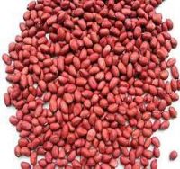 Bold Peanuts kernels Gujarat India all size (eg. 40/50, 50/60, etc)