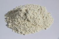 Wheat Flour