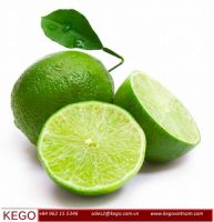 FRESH SEEDLESS LIME FROM VIETNAM