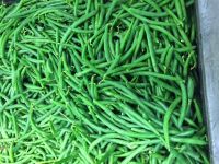 Green Beans 