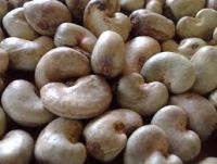 raw cashew nuts